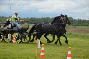 3. Srečanje kočij in konjenikov na Grabah 4